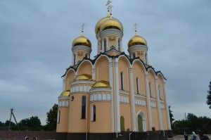 СЕРНИКИ МН